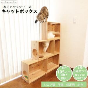 床置きタワー・壁付けキャットウォークで使えるキャットボックス　3段5点セット(右上がり)【1186739】