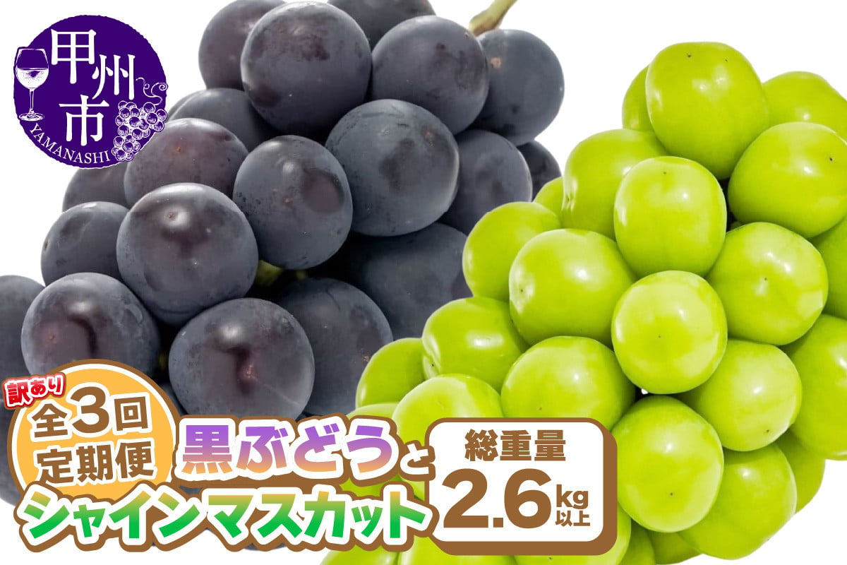 
            【定期便】訳あり 山梨の黒ぶどうとシャインマスカット全3回【2025年発送】（AGB）C-875 【わけあり シャインマスカット 葡萄 ぶどう ブドウ 令和7年発送 期間限定 山梨県産 甲州市 フルーツ 果物】
          