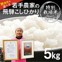 【ふるさと納税】《先行予約》令和6年産 こしひかり 5kg 特別栽培米 食味コンクール受賞農家の特別栽培米コシヒカリ 池本農園 精白米 無洗米 訳あり 米不足 2024 定期便 5kg×6 計30kg 白米 米 お米 特A わけあり ワケアリ 飛騨市 新米 ［Q1837] 10000円