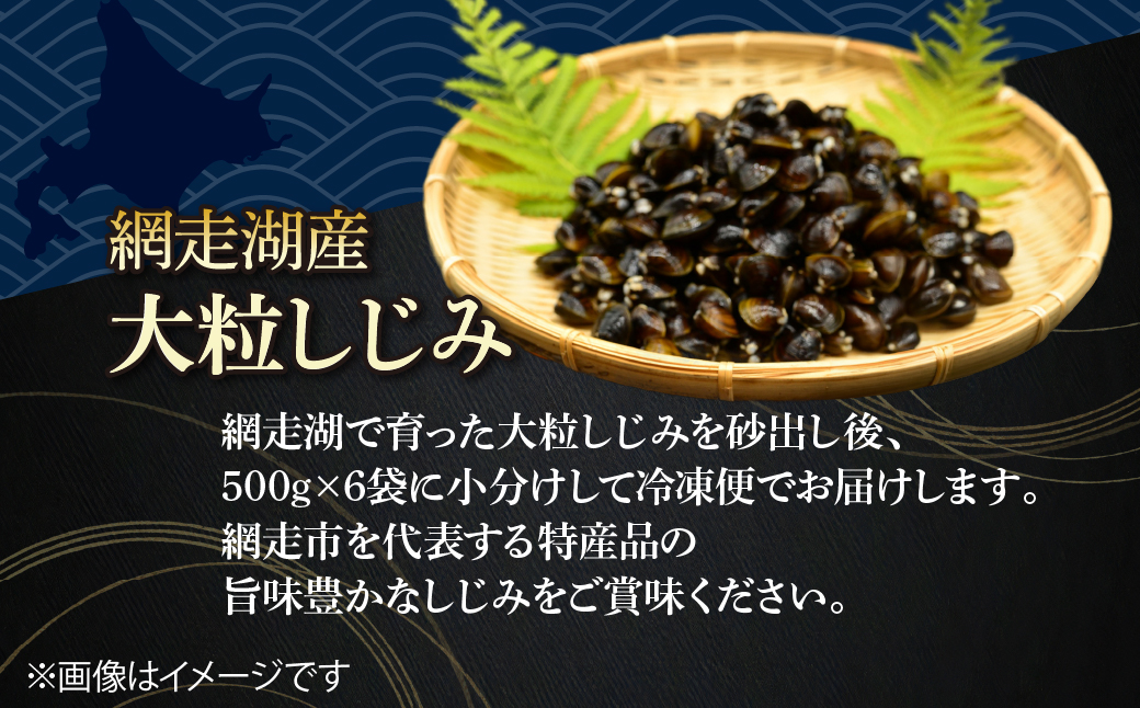かにやで人気の網走湖産大粒しじみ貝とはまなす味噌セット ABAO148 配送回数:1回