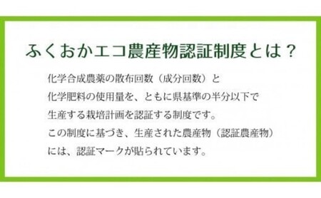 里芋 ねっとりもちもち 小郡産の里芋 白芽大吉 5kg ふくおかエコ農産物認証 ゆうき自然農場 野菜 芋