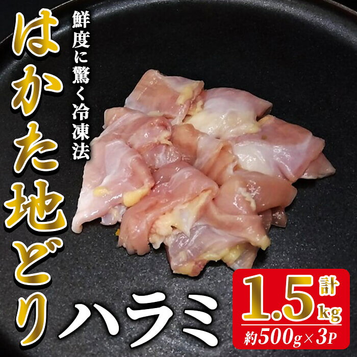 【ふるさと納税】はかた地どり ハラミ (計1.5kg・500g×3P) 真空パック 希少部位のはらみ 便利な小分け鶏肉 地鶏 地どり 鶏肉 九州 国産 ハラミ肉 鶏ハラミ チキン お肉 希少部位 小分け 冷凍 急速冷凍＜離島配送不可＞【ksg1907】【E2C】
