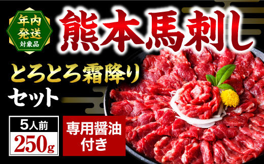 【国産】熊本馬刺し 霜降り 中トロ 250g 国産 熊本 馬刺し 馬 馬肉 馬刺 肉刺し 醤油 贈答用 ギフト 利他フーズ 熊本 阿蘇 南小国町 送料無料