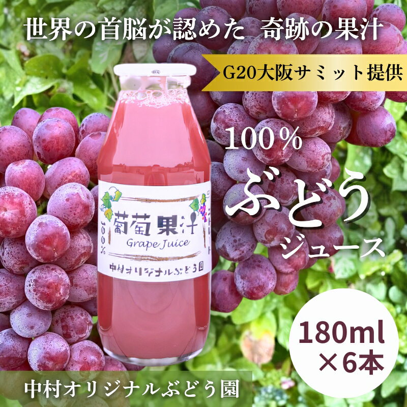 【ふるさと納税】ぶどうジュース 100% G20大阪サミット提供 中村オリジナルぶどう園 砂糖不使用 無添加 無加水 世界が認めた高級ストレートジュース ギフト 贈答品 日本製 国産ぶどう使用 限定 大阪 河内長野 甘い 濃厚 飲みきり おいしい 美味しい ポリフェノール 小瓶 小