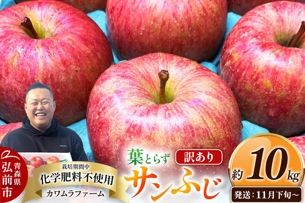 【26年11月下旬〜発送】りんご 葉とらず サンふじ【訳あり】約10kg【先行受付】カワムラファーム 青森県 弘前市 果物 フルーツ 林檎 リンゴ くだもの 不揃い 規格外 [先行予約 産地直送 アップル おいしい 果実 美味 甘い 赤色]