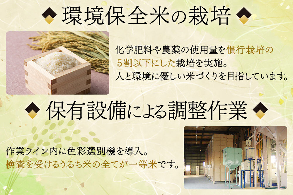 【2026年10月以降順次発送 先行受付】令和8年産 ひとめぼれ 無洗米 5kg 宮城県名取市産 お米 白米 こめ コメ ご飯 ごはん 名取市産 宮城県産 ブランド米 [ひとめぼれ ブランド米 お米 無洗米 精米 米どころ 食卓 お弁当 おにぎり 宮城県産]