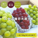 【ふるさと納税】岡山県産 【2024年発送】人気品種の大房を3房入(シャインマスカット・瀬戸ジャイアンツ・紫苑)【配送不可地域：離島】【1457481】