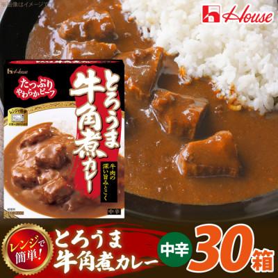 ふるさと納税 江南市 ハウス とろうま牛角煮カレー 中辛 200g ×30個 レトルトカレー レンジ調理対応