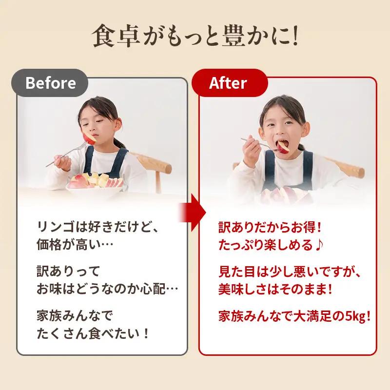 りんご 訳あり 3kg 果物 フルーツ わけあり 不揃い 規格外 ご家庭用 宮城県 大河原町 産地直送 林檎 リンゴ くだもの 先行予約 送料無料