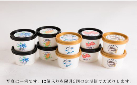 季節のジェラート定期便 12個入り×1ヶ月おき5回【アイス工房Nollegretto】 ／ アイス スイーツ 定期 デザート ノレグレット