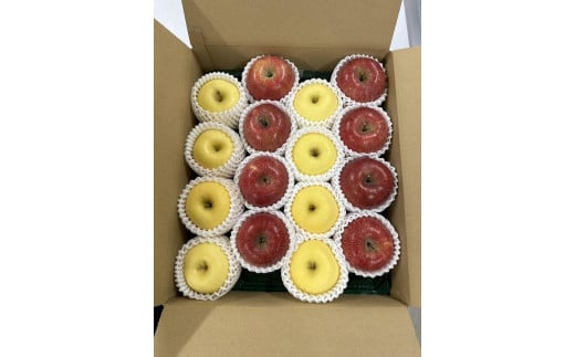 【2025年発送】りんご紅白MIX【ふじ・はるか】5ｋｇ　14～20玉