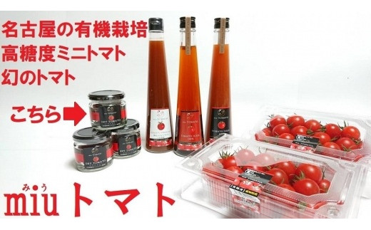 
飯田農園　幻のトマト　有機栽培高糖度miuトマトのドライトマト１箱【有機JAS】
