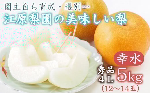 江原梨園の美味しい梨　約5kg　幸水　【11246-0151】