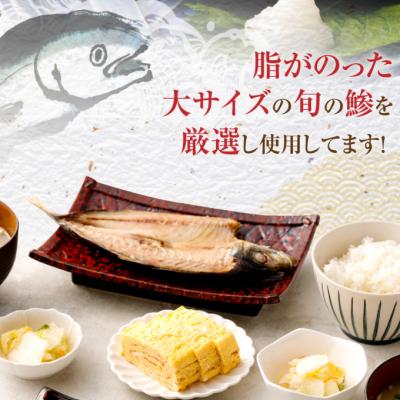 ふるさと納税 室戸市 トロ鯵(アジ)の干物セット(8枚)　あじ干物 |  | 02