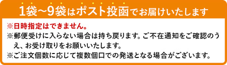 半生『讃岐麺維新』(1袋×240g・つゆ2袋) 香川県 讃岐 うどん 小麦 麺 コシ 常温 【man283】【こんぴらや販売】