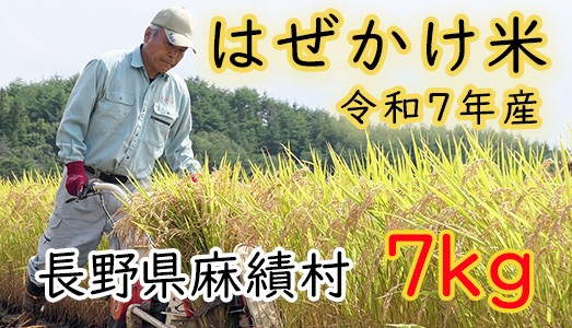 
                  信州麻績産 はぜかけ米 数量限定 期間限定 7kg 自然乾燥  コシヒカリ 5kg +2kg 長野県 信州 麻績村 麻績
                