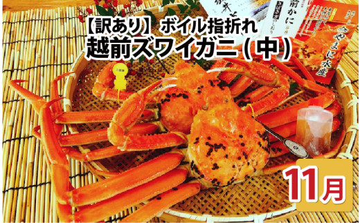 【先行予約】名人が茹でる とれたて指折れ越前がに(中) 2杯【11月発送分】 [J-4304_11]