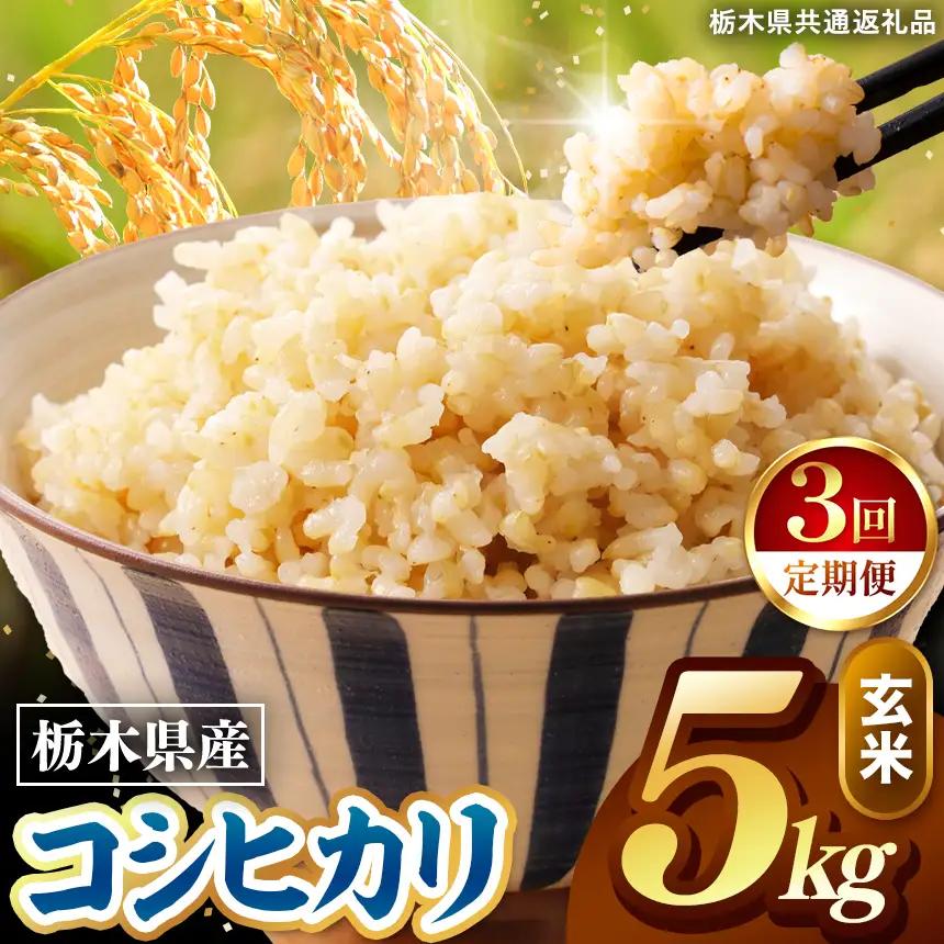 令和8年度産 先行予約 【定期便3回】こしひかり 玄米 約5kg