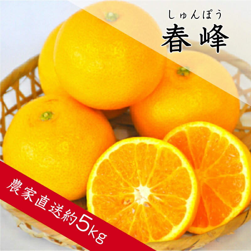 【ふるさと納税】春峰（しゅんぽう）5kg 濃厚 柑橘 フルーツ 果物 くだもの みかん 人気 おすすめ 送料無料 国産 和歌山 有田市【2026年2月下旬から順次お届け】（A138-1）