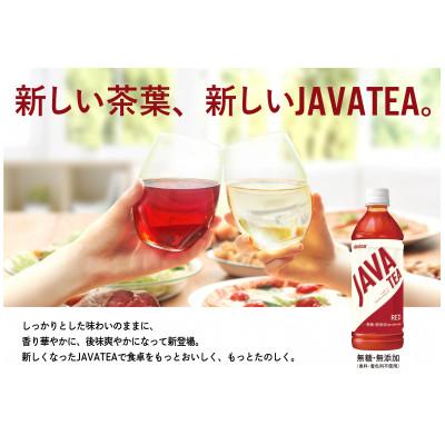 ふるさと納税 湖南市 大塚食品 シンビーノ ジャワティ ストレートレッド 500mlペットボトル×48本入 |  | 01