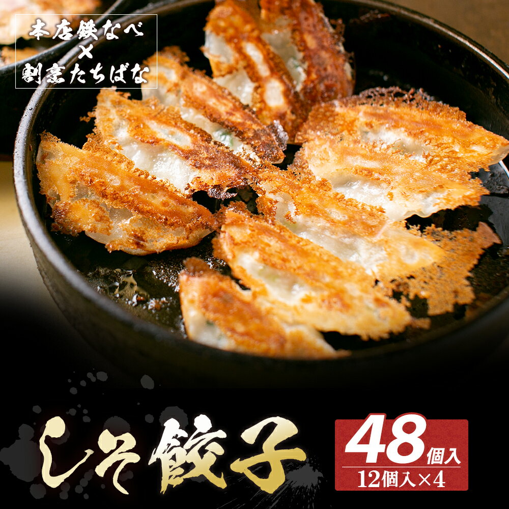 【ふるさと納税】 レビューキャンペーン 本店鉄なべ×割烹たちばな しそ餃子48個 一口 老舗 割烹 名店 ご当地グルメ 薄皮 送料無料