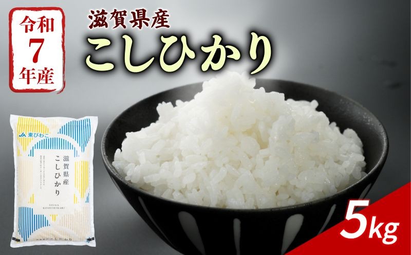 
                  こしひかり 5kg 令和7年産 米 精米 こめ 白米 コメ お米 ご飯 米 コシヒカリ 5キロ 令和7年 滋賀 彦根 【近江米】
                