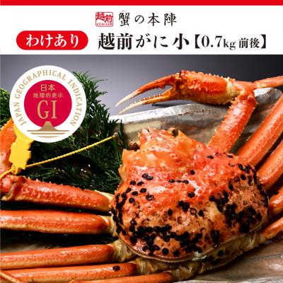 ふるさと納税 越前町 【わけあり】冬の日本海の味　浜茹で【越前がに　小　0.7kg前後】2027年2月発送