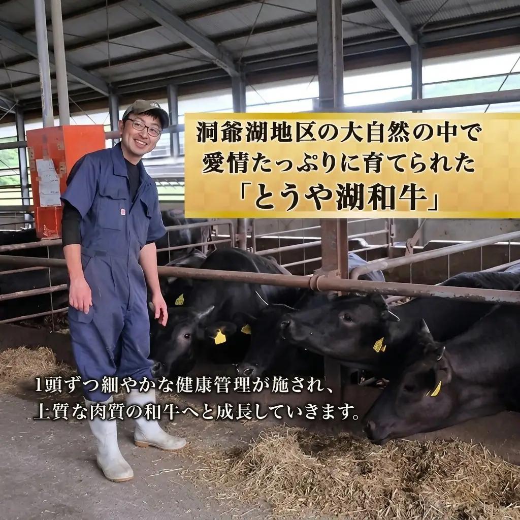 とうや湖和牛 ロース ステーキ すき焼き用 とうや湖和牛【ステーキ200g×2 すき焼き400g】