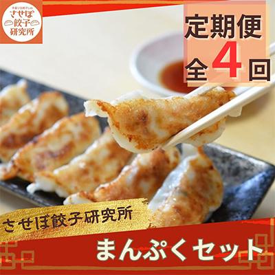 ふるさと納税 佐世保市 【発送月固定定期便】させぼ餃子研究所 させぼ餃子まんぷくセット全4回