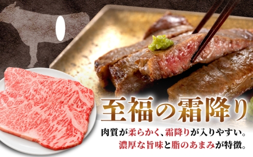 【6回定期便】飛騨牛 サーロイン（ステーキ用）1.2kg（200g×6枚）飛騨牛 国産 肩ロース ロース ステーキ 黒毛和牛 和牛 牛肉 BBQ steak 岐阜県 / 御嵩町 / 馬力家 [AVBO
