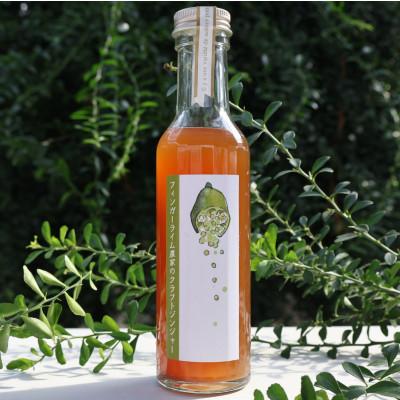 ふるさと納税 海津市 フィンガーライム農家のクラフトジンジャーシロップ計180ml