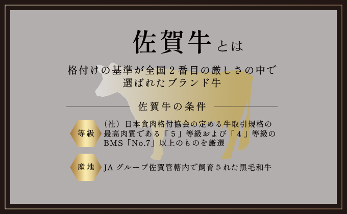 訳あり 佐賀牛ヒレサイコロステーキ 400g | ふるさと納税 肉 お肉 ギフト 贈答品 佐賀牛 国産 佐賀 佐賀県 大町町 冷凍 送料無料 牛肉 黒毛和牛 肉汁 国産和牛 ステーキ