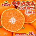 【ふるさと納税】 愛媛みかん 中生みかん 石地温州 10kg 家庭用 サイズ 不揃い 兵頭農園 なかて みかん いしじ mikan 愛媛ミカン 愛媛蜜柑 温州 温州みかん 不揃い 果物 くだもの フルーツ 柑橘 蜜柑 産地直送 農家直送 数量限定 国産 愛媛 宇和島 B012-055005