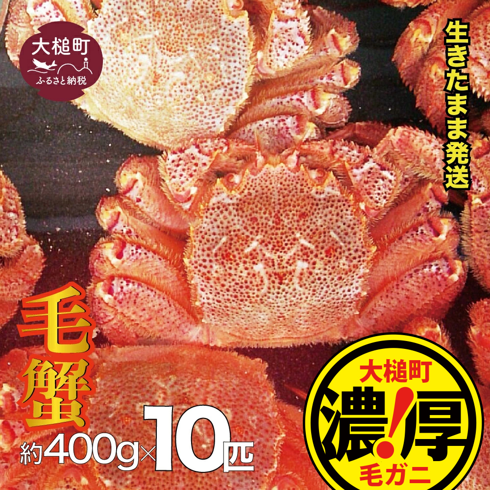 【令和8年発送先行予約】三陸産！活毛ガニセット 400g×10杯【08】【2026年2月～4月発送】