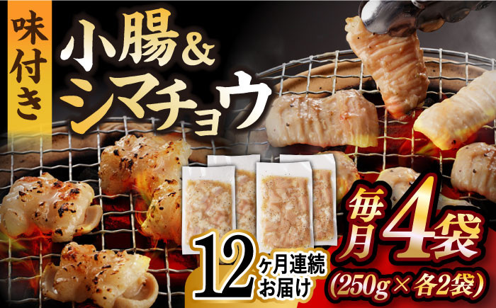 
            【全12回定期便】【塩だれ】 九州産和牛 ホルモン 2種 計1kg（ シマチョウ 250g×2袋・ 小腸 250g×2袋） 長与町/岩永ホルモン [EAX149] ホルモン焼き 国産 牛肉 ホルモン ミックス 小分け 味付き 冷凍 焼肉 焼き肉 和牛 塩 しお 牛 定期便 ていきびん 定期
          