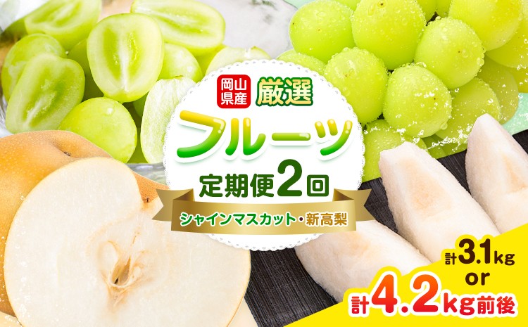 
                  岡山県産 厳選 フルーツ 定期便 2回 シャインマスカット 晴王  新高梨 選べる 計3.1kg前後 計4.2kg前後 株式会社藍《9月上旬-10月下旬頃出荷》 岡山県 浅口市 岡山県産 シャインマスカット 新高梨 梨 旬 フルーツ 果物 くだもの 送料無料 【配送不可地域あり】（北海道・沖縄・離島）
                