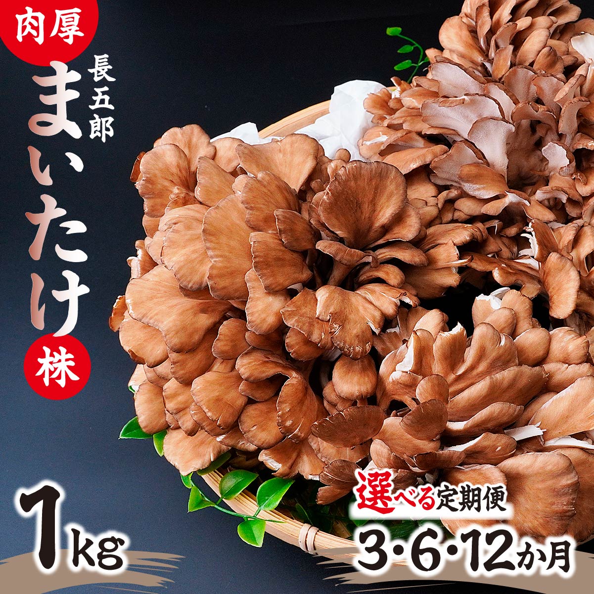 【ふるさと納税】＜選べる定期便＞父の日 まいたけ 長五郎まいたけ かぶ 500g×2個 1・3・6・12ヶ月｜炊き込みご飯 きのこご飯 舞茸ご飯 天ぷら 舞茸 まいたけ きのこ 野菜 丸ごと 国産 無農薬 安全 安心 食物繊維 健康 カロリー 低い 産地直送 プレゼント ギフト 贈り物