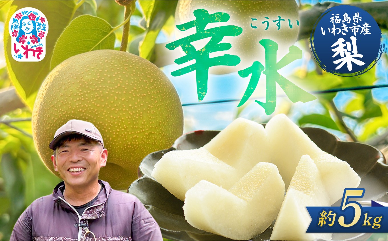 
                  【先行予約】福島県 いわき市産 梨 ( 幸水 )  約 5kg | 梨 こうすい なし nasi 旬 果物 フルーツ 甘み 品種 果肉 果汁 たっぷり 果物 くだもの デザート fruit nasi 2026年産 長谷川梨園 先行予約 期間限定 果物 フルーツ 和梨 国産 新鮮 産地直送 甘い 濃厚果汁 ジューシー 瑞々しい シャキシャキ 数量限定 フレッシュ 季節限定 | HN001
                