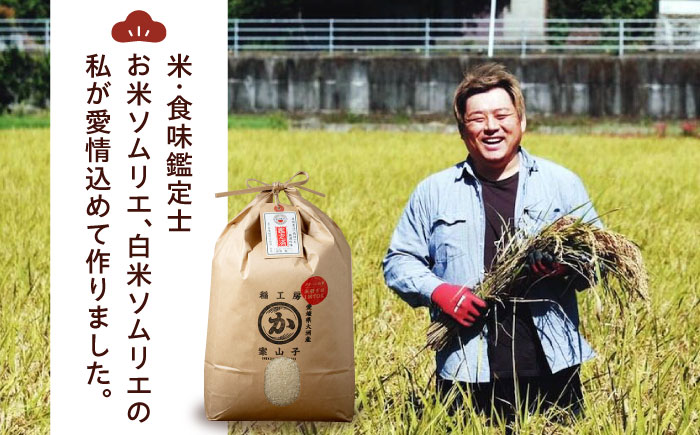 【先行予約】【令和7年産】【米食味鑑定士×お米ソムリエ×白米ソムリエ】知識・技術・愛情で育てた あきたこまち10kg（10kg×1袋）　愛媛県大洲市/稲工房案山子 [AGAV003]新米 お米 ご飯 