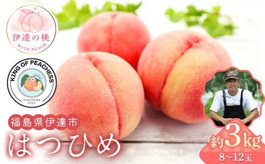 キングオブピーチ 桃 「はつひめ」約3kg（8～12玉）はつひめ 伊達の桃 桃 もも モモ 果物 くだもの フルーツ 国産 食品 F21C-134