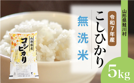 
                  ＜令和7年産＞ こしひかり 【無洗米】5kg （5kg×1袋）＜配送時期選べます＞　山形県鮭川村
                