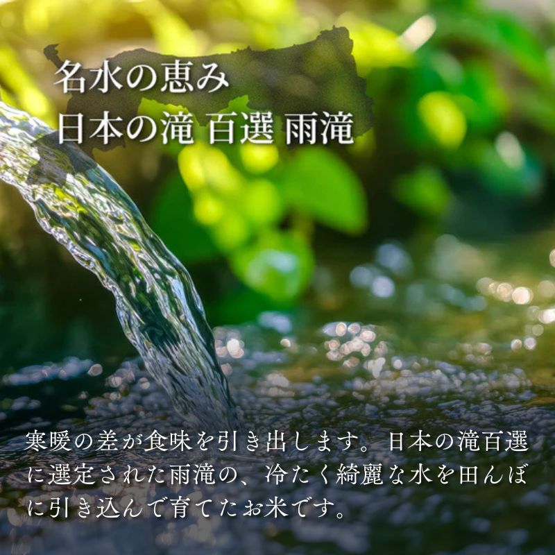 因幡の白兎米 コシヒカリ 令和7年産 精米済 20kg（5kg×4袋）