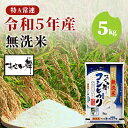 【ふるさと納税】令和5年産 福島県産 あさか舞コシヒカリ 無洗米 5kg　 お米 白米 ライス ご飯 ブランド米 銘柄米 お弁当 おにぎり 1等米 特A 産地直送 主食 炭水化物 　お届け：2023年11月上旬頃から順次発送予定