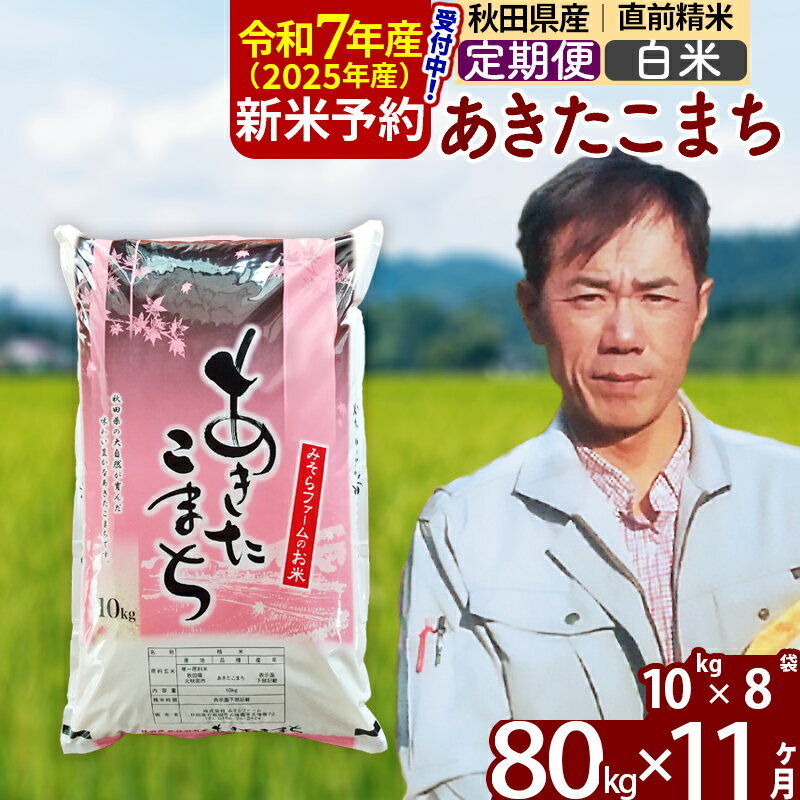 【ふるさと納税】※令和7年産 新米予約※《定期便11ヶ月》秋田県産 あきたこまち 80kg【白米】(10kg袋) 2025年産 お届け周期調整可能 隔月に調整OK お米 みそらファーム