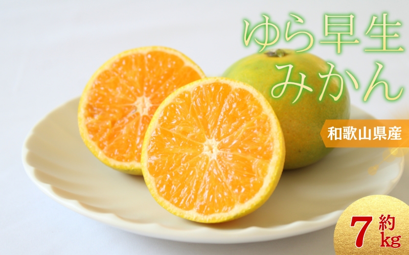 ＼光センサー選別／＼農家直送／甘くて濃厚！希少品種 ご家庭用 ゆら早生みかん約7kg　サイズ混合【10月上旬より発送】希少品種《有機質肥料100％》 ※2026年10月上旬より順次発送予定【nuk002F】