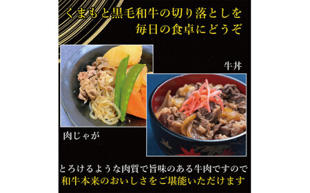 FK7-0009_【A4～A5】 くまもと黒毛和牛切り落とし 500g