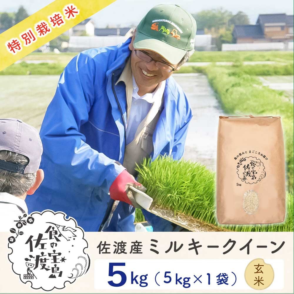 佐渡島産ミルキークイーン 玄米5kg 令和7年産 特別栽培米195962-0743