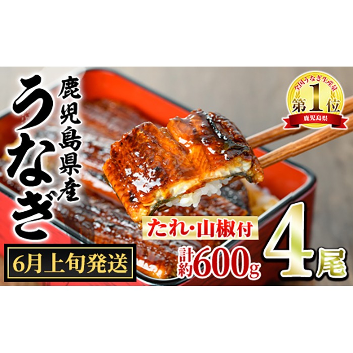 【0204348a-2606】＜6月上旬発送予定＞東串良町のうなぎ蒲焼(無頭)(4尾・計約600g・タレ、山椒付) うなぎ 高級 ウナギ 鰻 国産 蒲焼 蒲焼き たれ 鹿児島 ふるさと 人気 【アクアおおすみ】