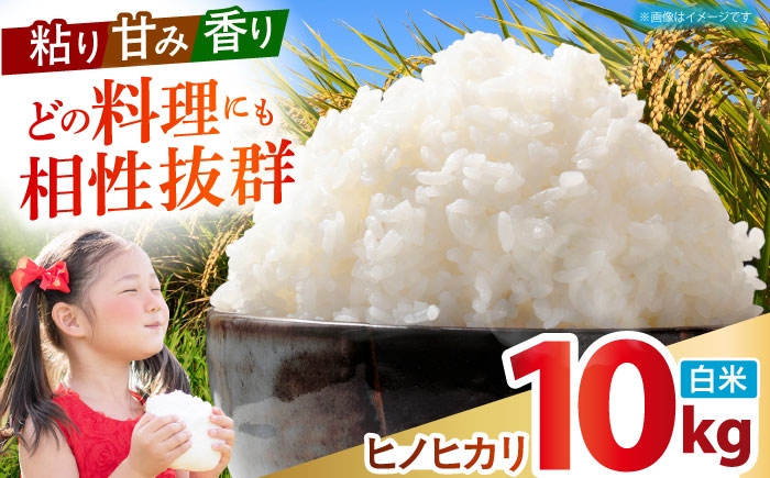 
                  令和7年産 ヒノヒカリ 白米 10kg 【有限会社江北商会】 [HDK001] 米 お米 白米 米 精米 白米 はくまい こめ ひのひかり ヒノヒカリ 米10kg 精米 ブランド米 国産 九州産 佐賀県産
                