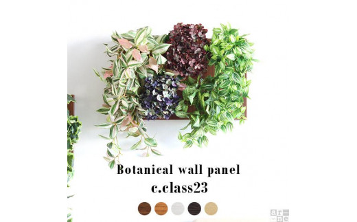 
Botanical c.class 23

